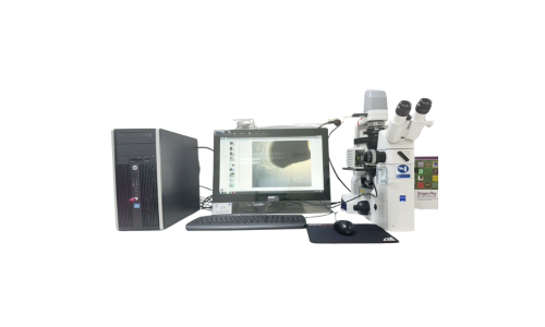การใช้งานกล้องจุลทรรศน์ชนิดหัวกลับ (Inverted Microscope)